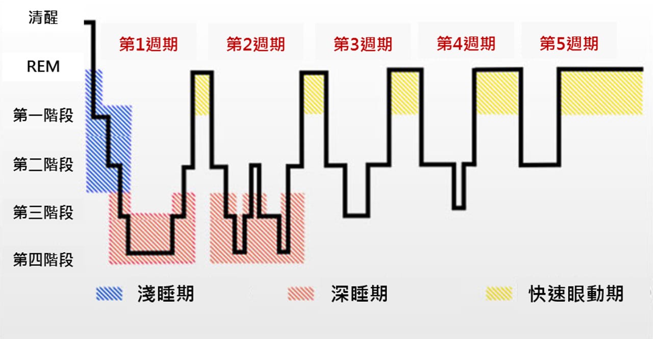 睡眠四階段